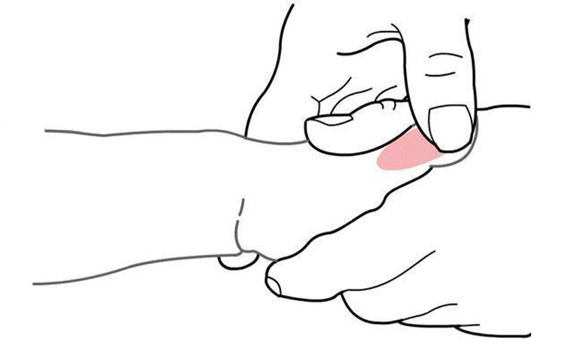 小兒推拿可以提高孩子的免疫力嗎|花都小兒推拿培訓班